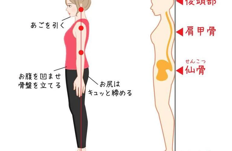 心地よい日常を取り戻す：姿勢から始まる健やかな生活